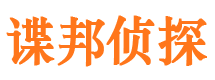 呼玛调查公司